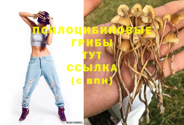 гидра Верхнеуральск
