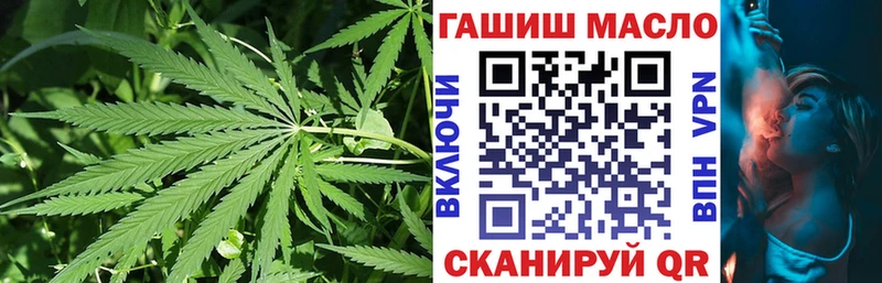 Купить где  Наро-Фоминск  ТГК концентрат 