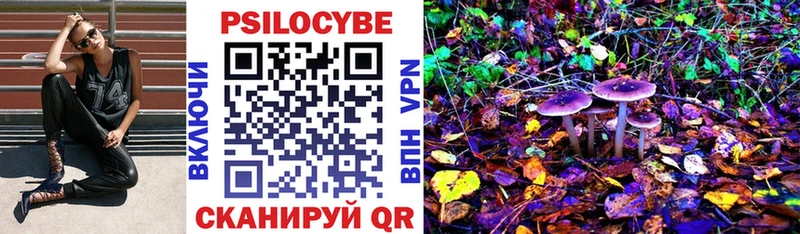 Купить закладки  Наро-Фоминск  Галлюциногенные грибы Magic Shrooms 